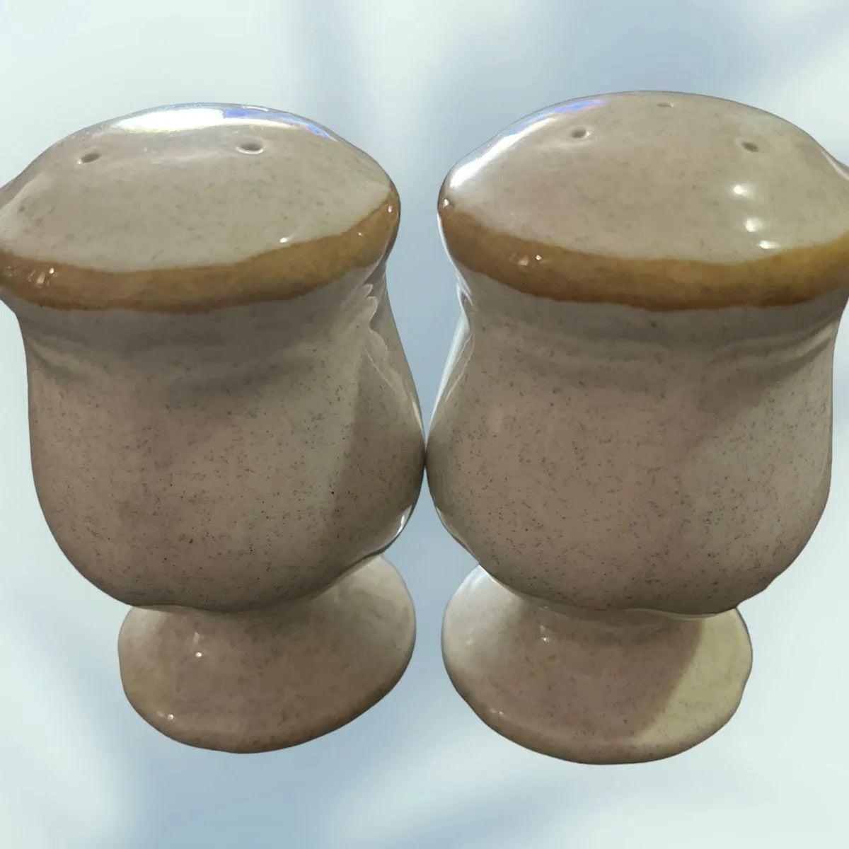 Mikasa Blue Flower Salt & Pepper Shakers